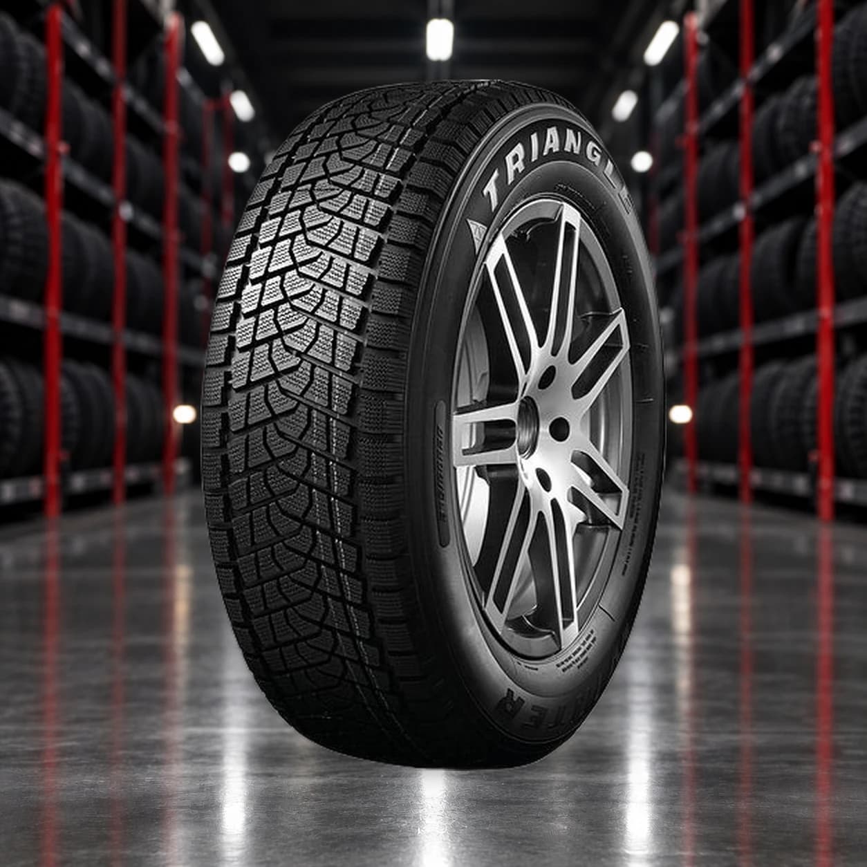 Triangle TR797 255/30 R20 92W